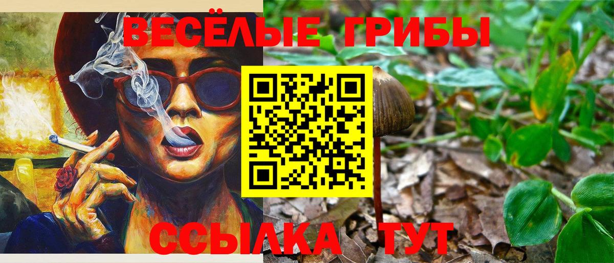 Псилоцибиновые грибы прущие грибы  Псилоцибиновые грибы MAGIC MUSHROOMS  Орехово-Зуево  Вход с VPN 