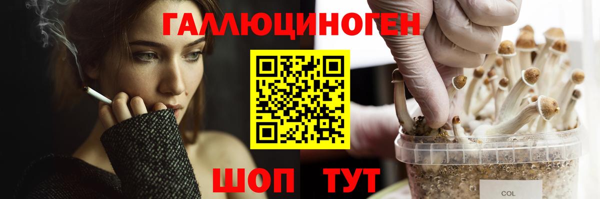 Галлюциногенные грибы мицелий Орехово-Зуево